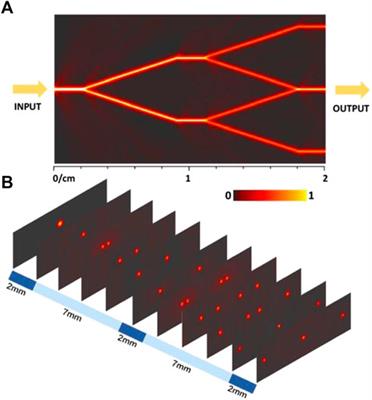 Beam Splitters Fabricated by Nonlinear Focusing of Femtosecond Laser Writing in Pure YAG Crystal